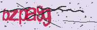 Captcha認証コード