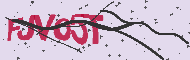 Captcha認証コード