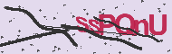 Captcha認証コード