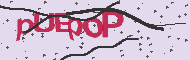 Captcha認証コード
